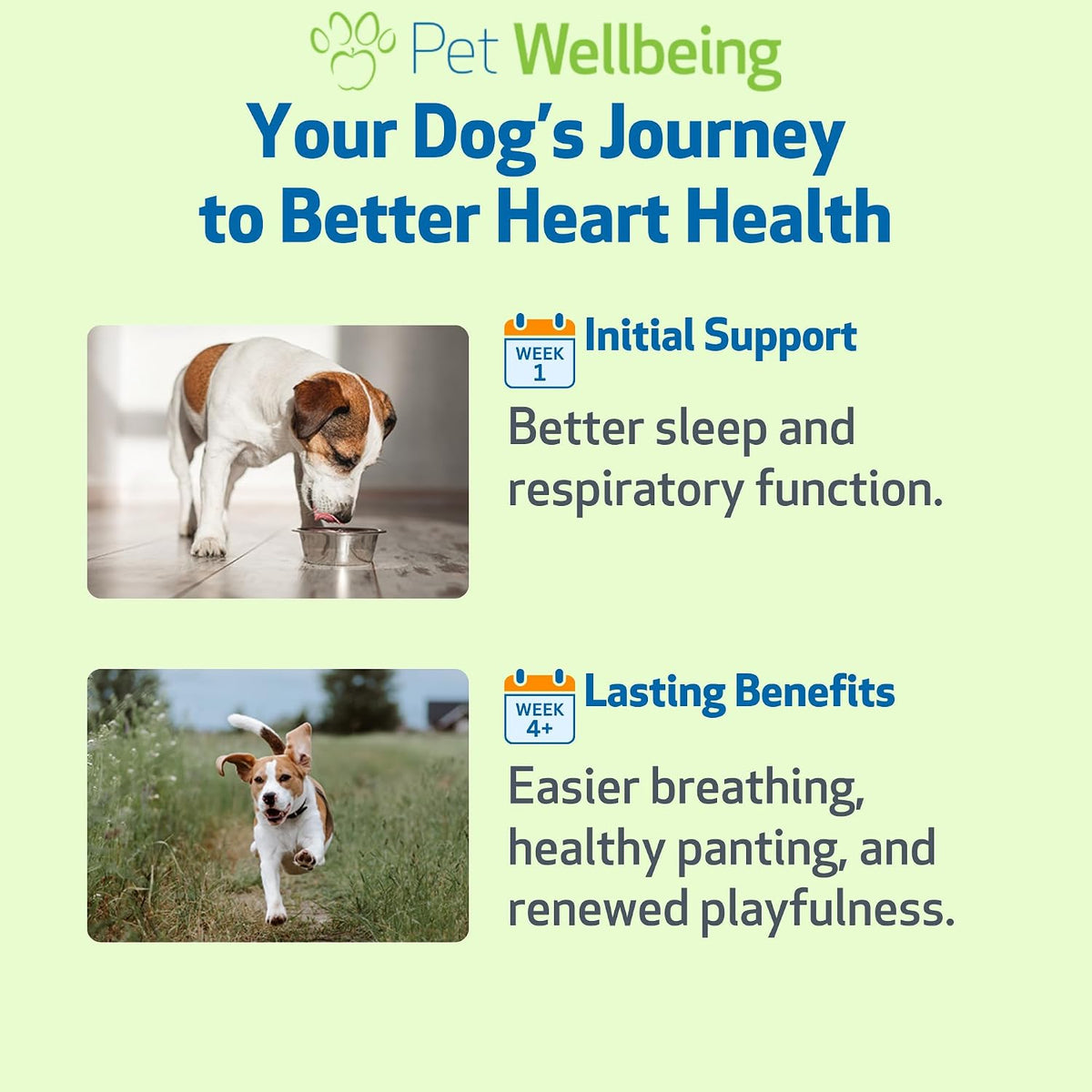 Back label of Pet Wellbeing Young at Heart showing administration instructions and weight charts.