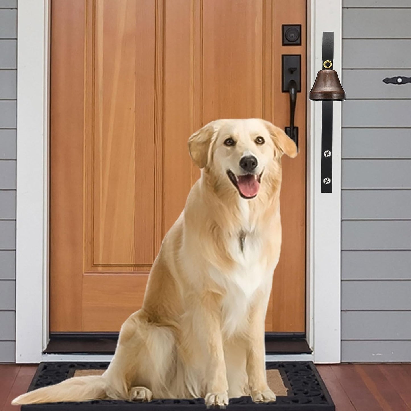 Pet communication tool for going outside