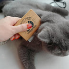 Cat shedding tool removing excess fur from coat