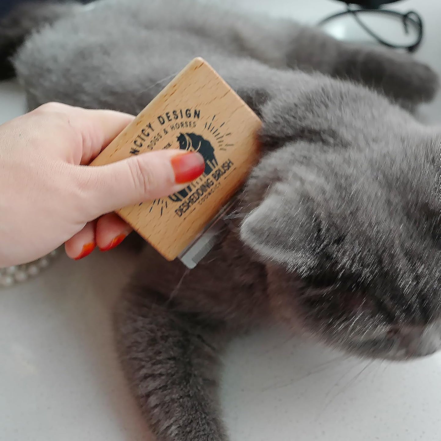 Cat shedding tool removing excess fur from coat