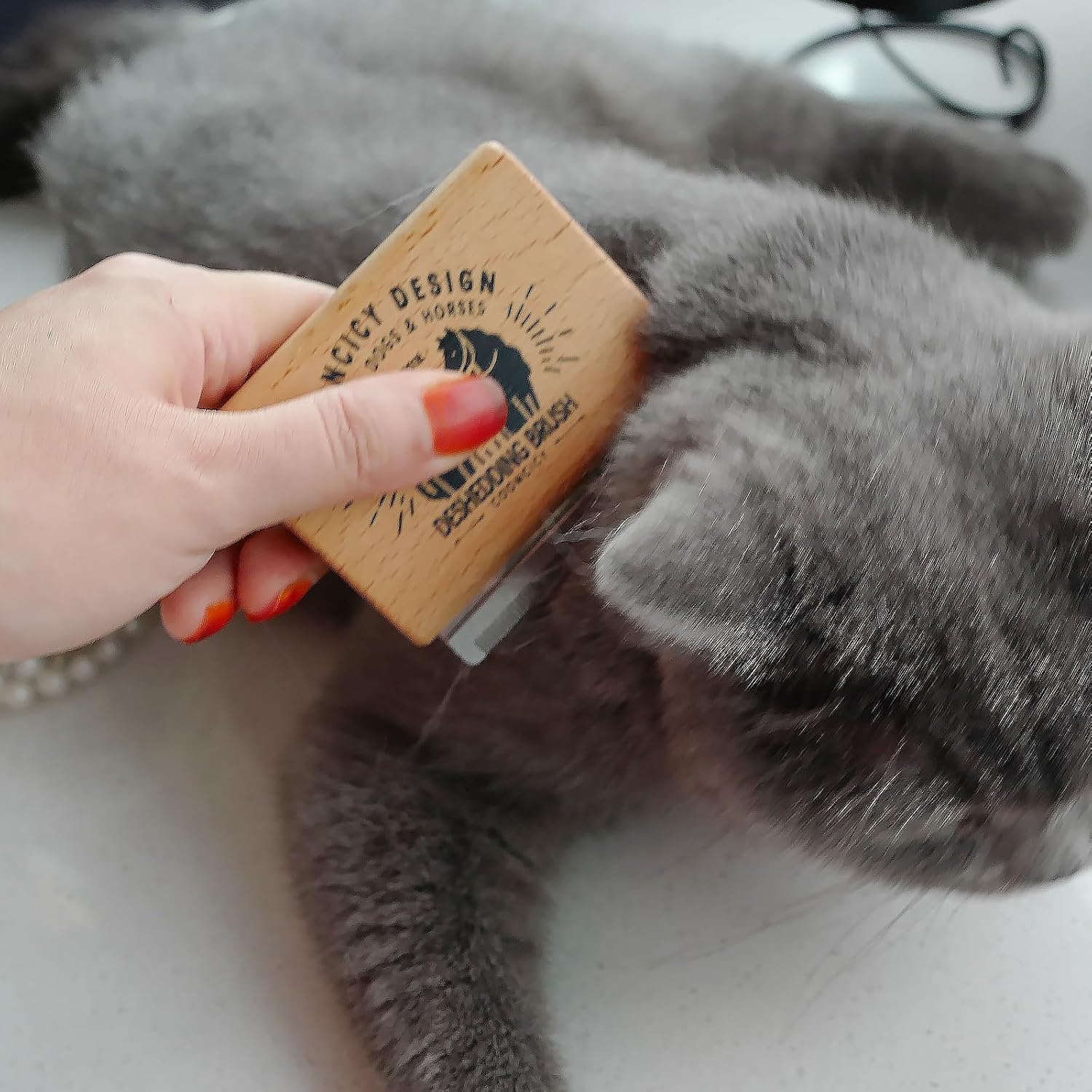 Cat shedding tool removing excess fur from coat
