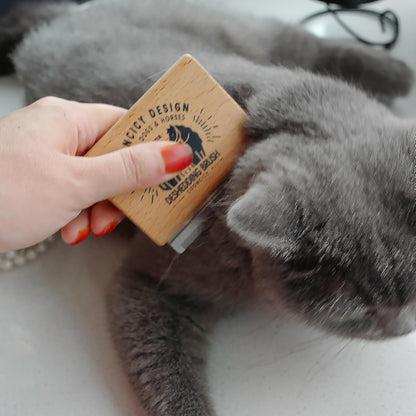 Cat shedding tool removing excess fur from coat