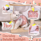Purrpurrpets surgical recovery garment for female cats pack of two packaging display