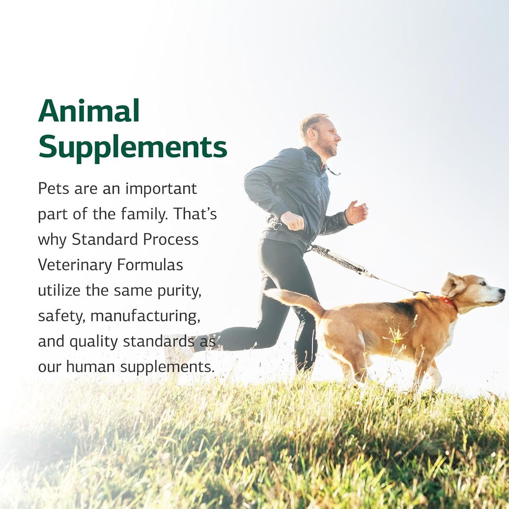 Side profile of Standard Process multisystem support powder