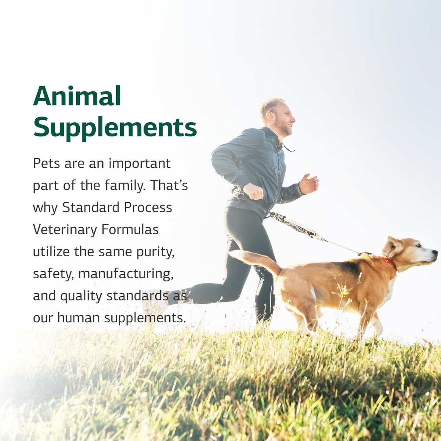 Side profile of Standard Process multisystem support powder