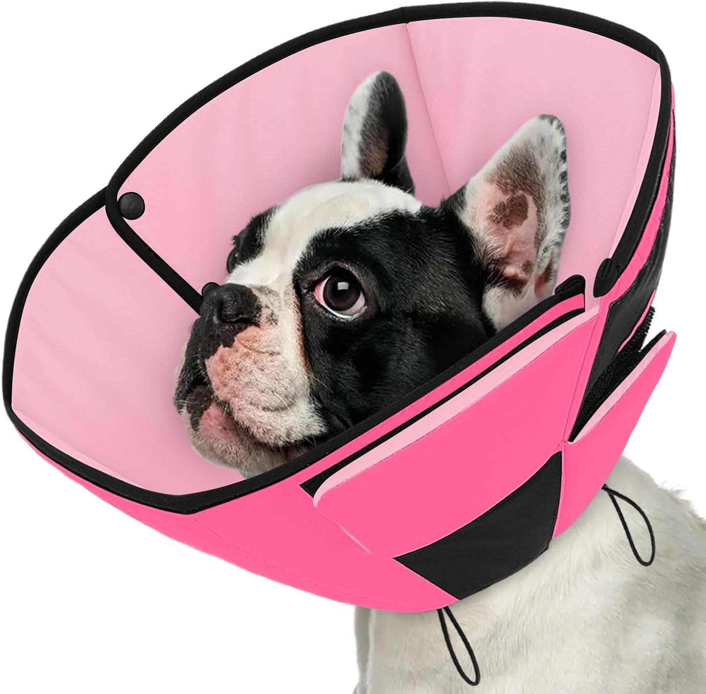 Queenmore Dog Cone XL, Soft Dog Cones for Large Dogs After Surgery, Cone for Dogs to Stop Licking, Elizabethan Collar for Pet, Alternative to Recovery Collar for Large Breeds, Blue XL - Image 12