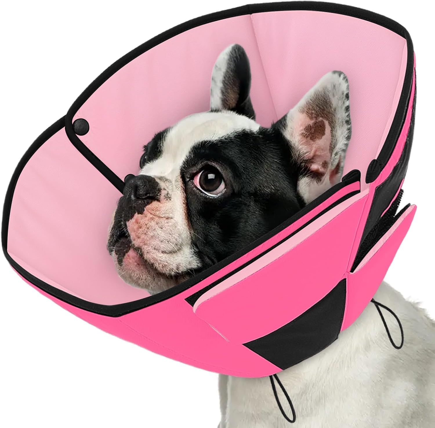 Queenmore Dog Cone XL, Soft Dog Cones for Large Dogs After Surgery, Cone for Dogs to Stop Licking, Elizabethan Collar for Pet, Alternative to Recovery Collar for Large Breeds, Blue XL - Image 12