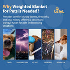 Close up texture of premium soft minky fabric on the LaSyL thunder blanket for dogs