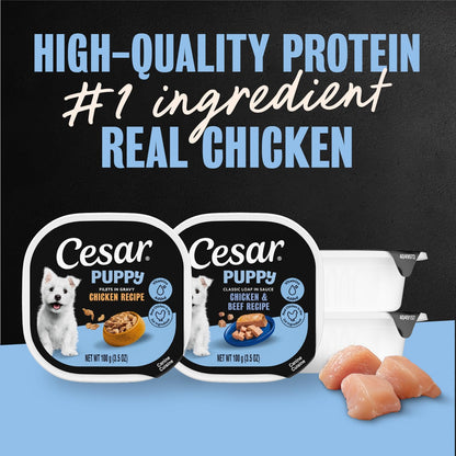 Premium USA imported wet dog food topper for puppies