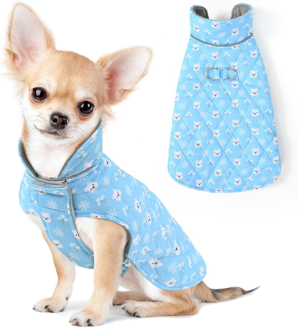 Mile High Life dog warm coat in blue front view on small puppy