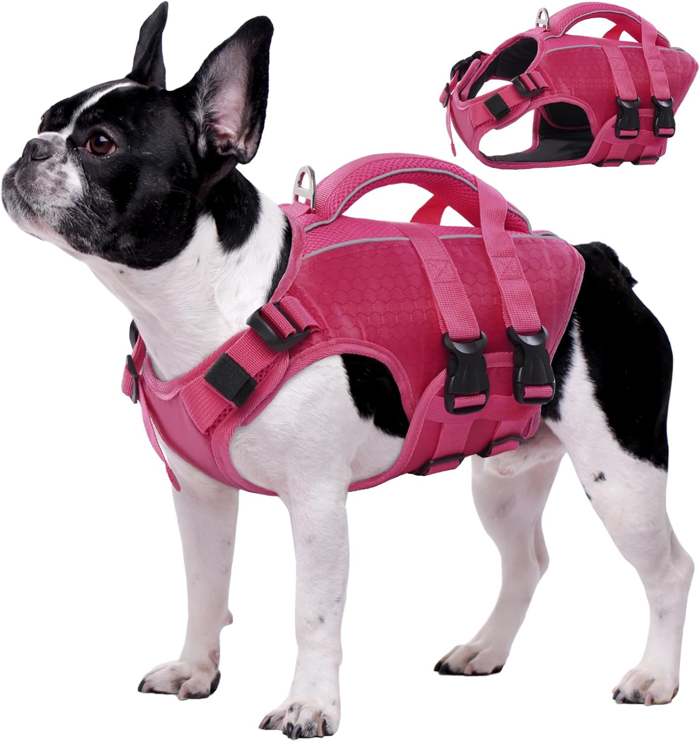 Kuoser Dog Life Jacket High Flotation, Reflective Dogs Life Vest for Swimming Boating, Adjustable Small Medium Large Dog lifejacket, Lightweight Dogs Life Preserver Rescue Handle Spring Summer Pool - Image 11