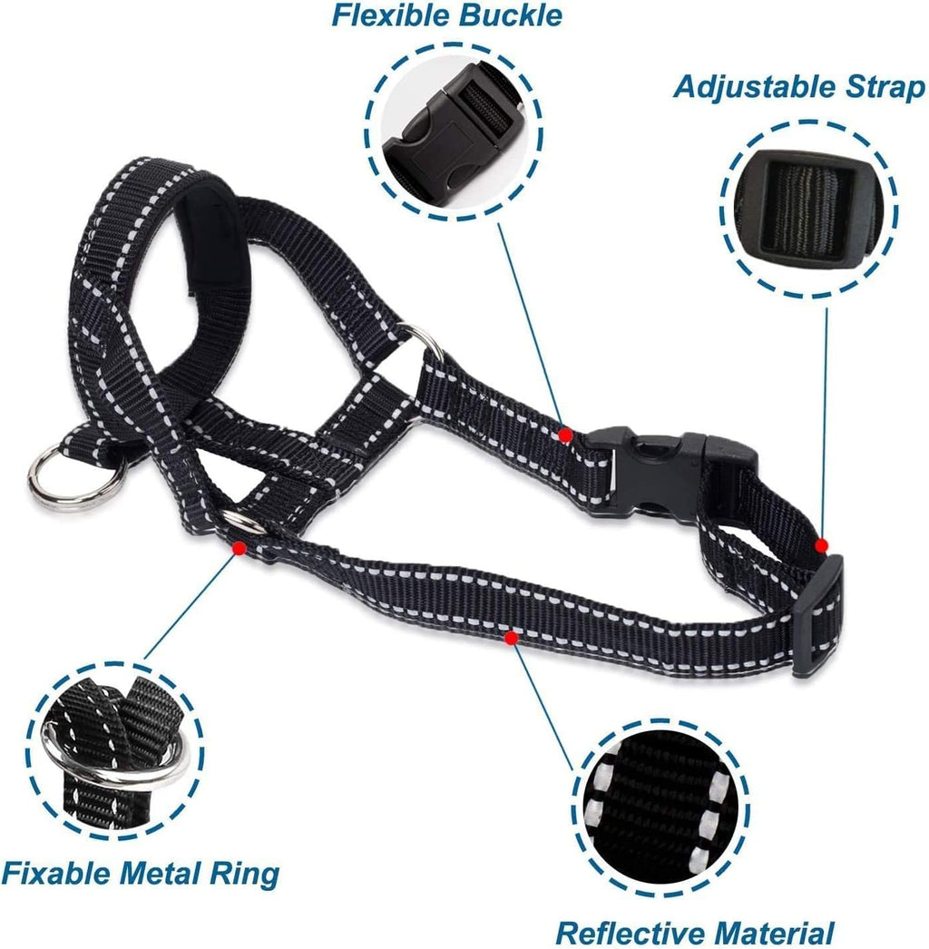 Lepark dog head halter safety buckle and connection point