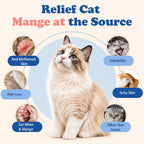 BestLife4Pets cat mange pills supplement for hair regrowth and scabby skin relief