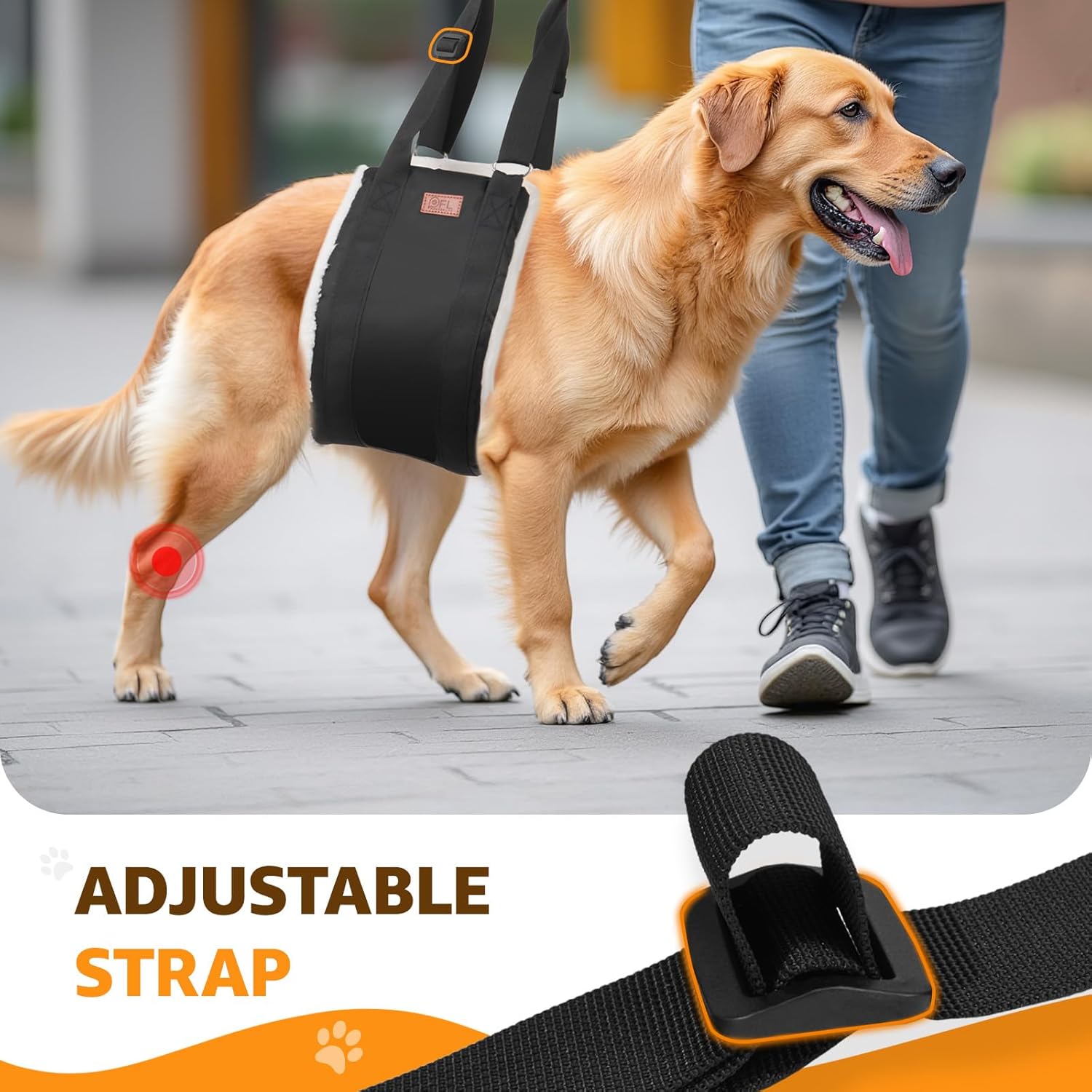 Post operative dog rehabilitation using Pick For Life black rear hindquarters lift support sling after ACL surgery