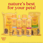 Burt's Bees honey dog wipes for daily pet hygiene