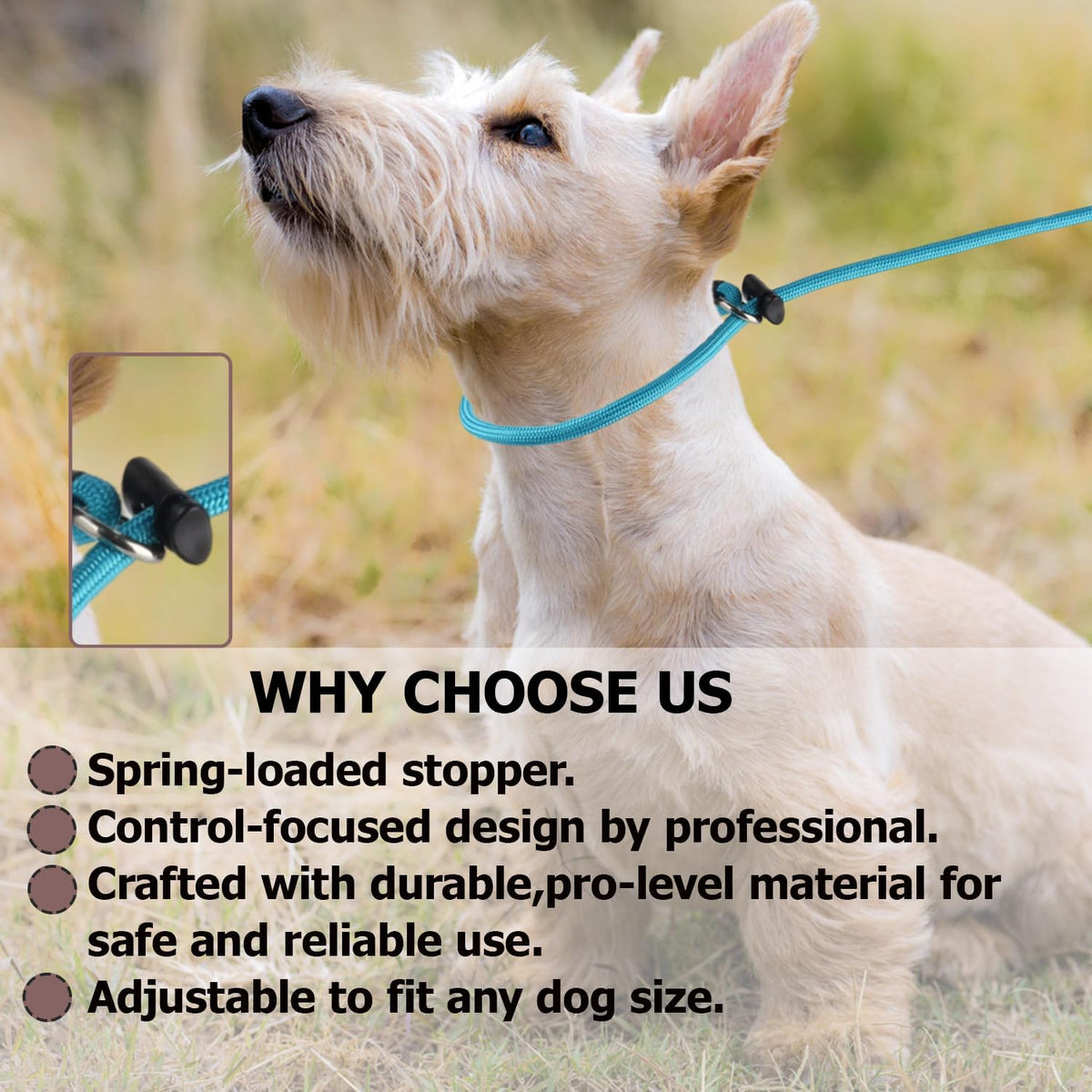 Adjustable slip collar with metal hardware for training
