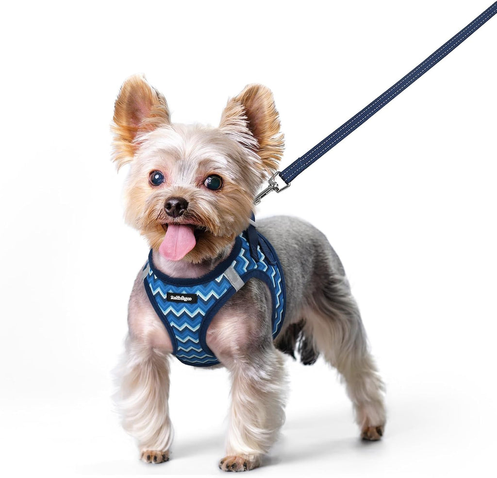 rabbitgoo Dog Harness Small Sized and Leash Set, Step in Soft Light Puppy Vest, Breathable Mesh Pet Harness, Reflective for Safe Easy Walking, Rose Red S - Image 11
