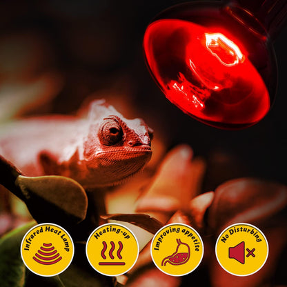 USA imported reptile heat lamp dual pack engineered for long lasting terrarium warmth.