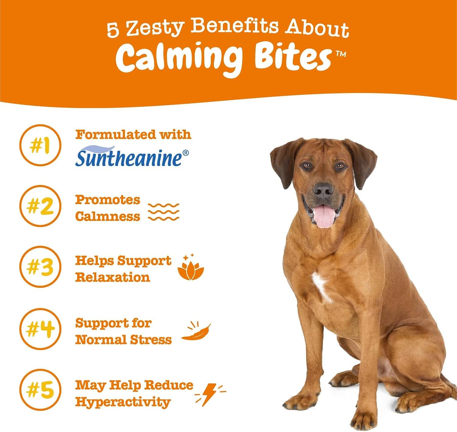 Zesty Paws dog composure and relaxation peanut butter chews packaging side view