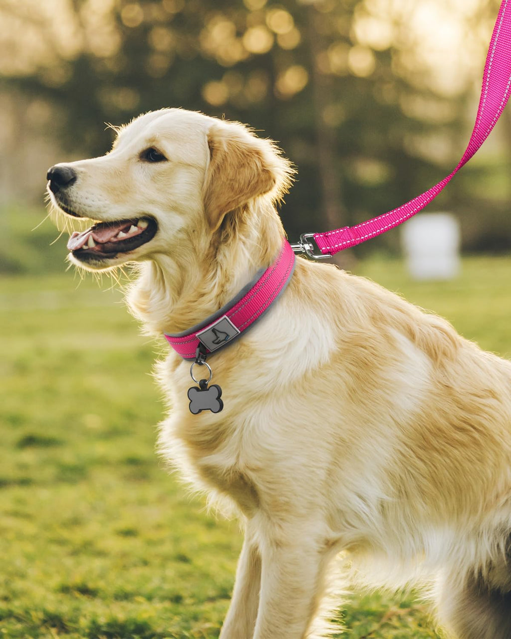 Joytale hot pink dog collar laid flat