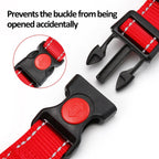 Reflective martingale training collar showcasing night visibility strips on nylon