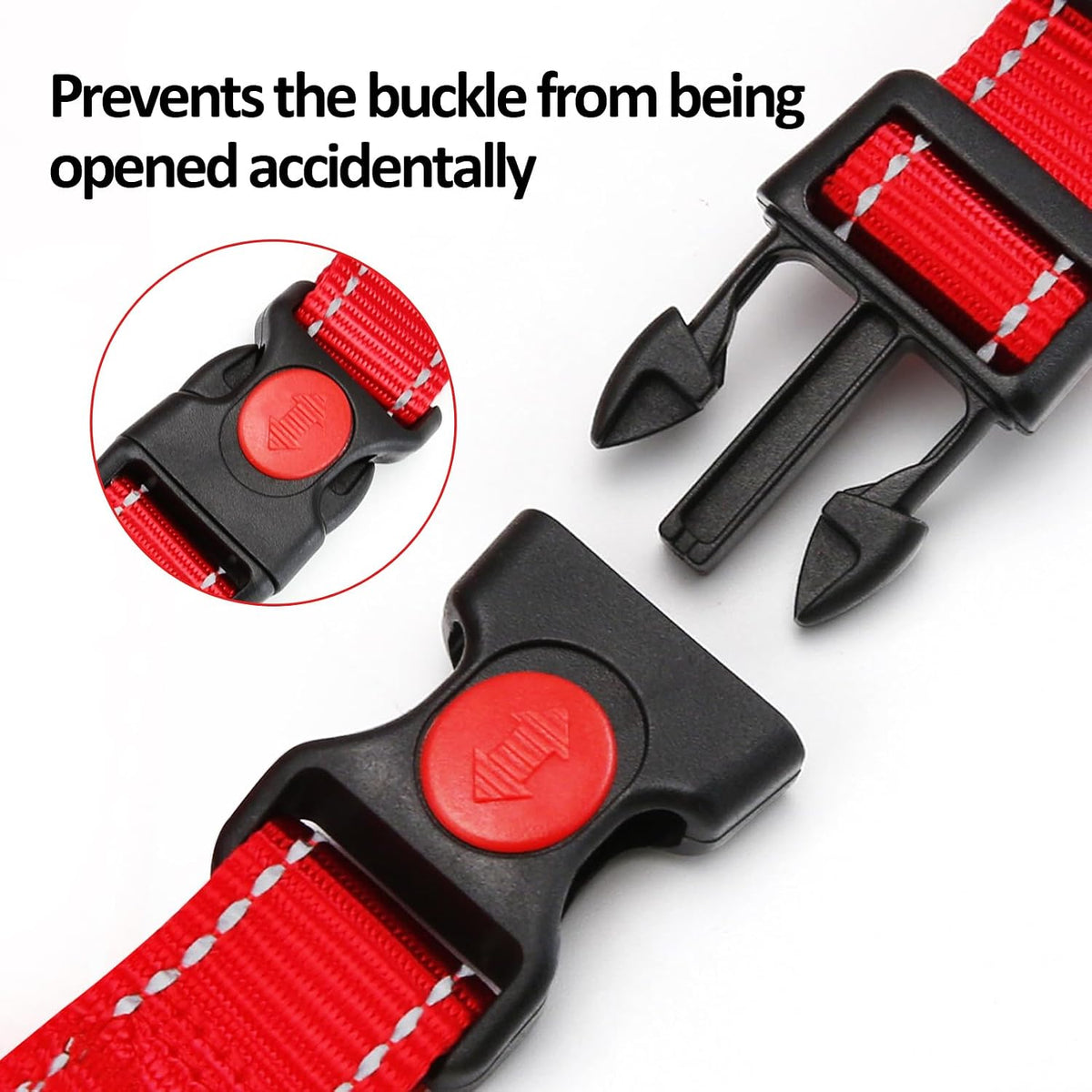 Reflective martingale training collar showcasing night visibility strips on nylon