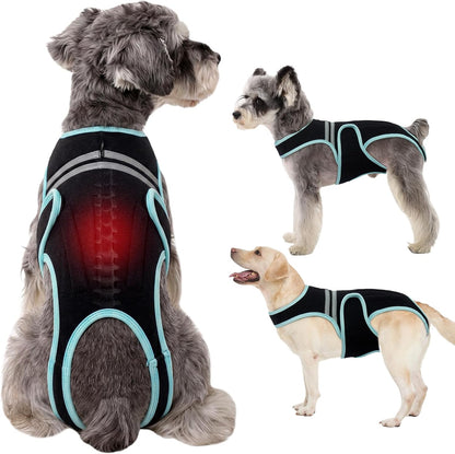 LETSQK dog back brace medium black front view on a dog