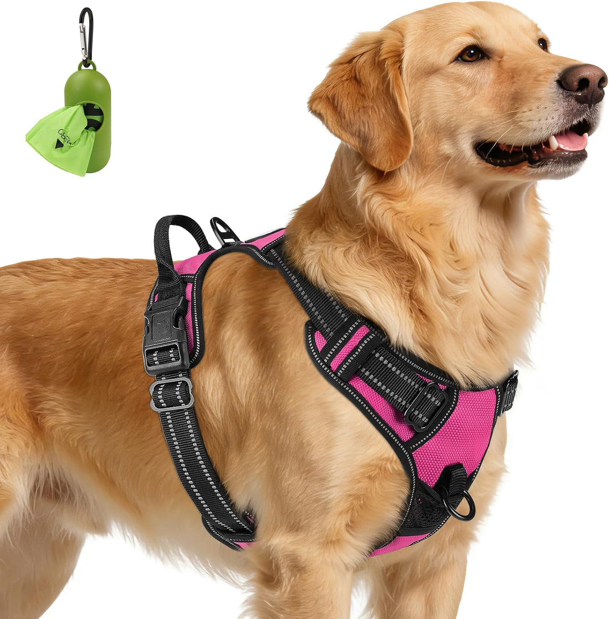 Joytale reflective night walking dog vest safety features