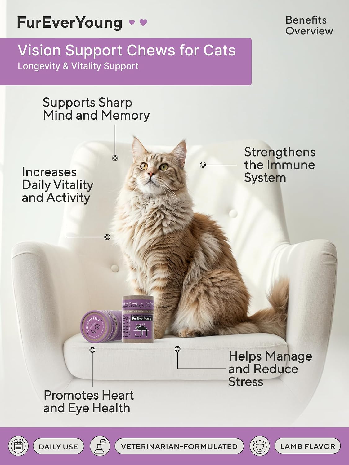 CareFurEver senior cat vitality supplement back label highlighting Taurine and Lion's Mane active ingredients.