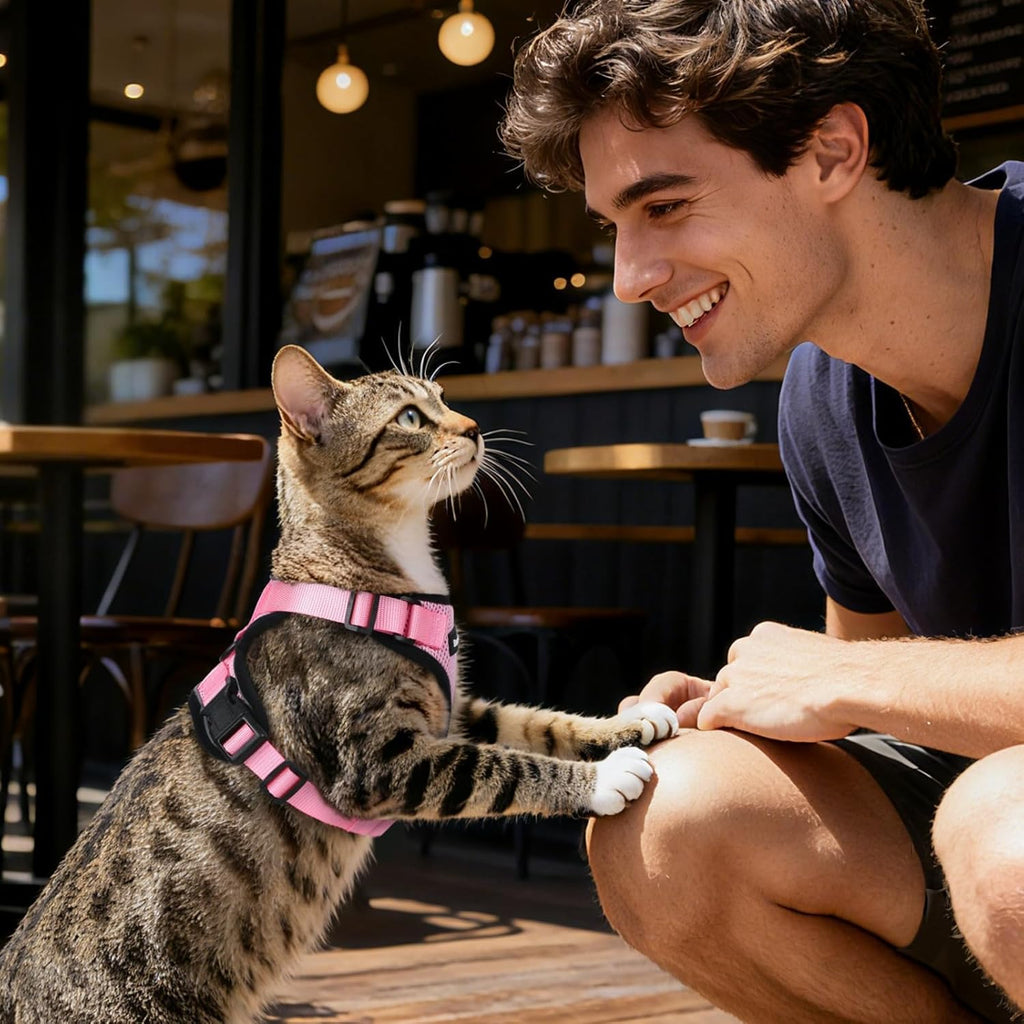 Full set layout of Dooradar pink cat harness and leash packaged together