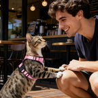 Full set layout of Dooradar pink cat harness and leash packaged together