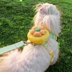 Detachable backpack component of Touchdog dog harness set