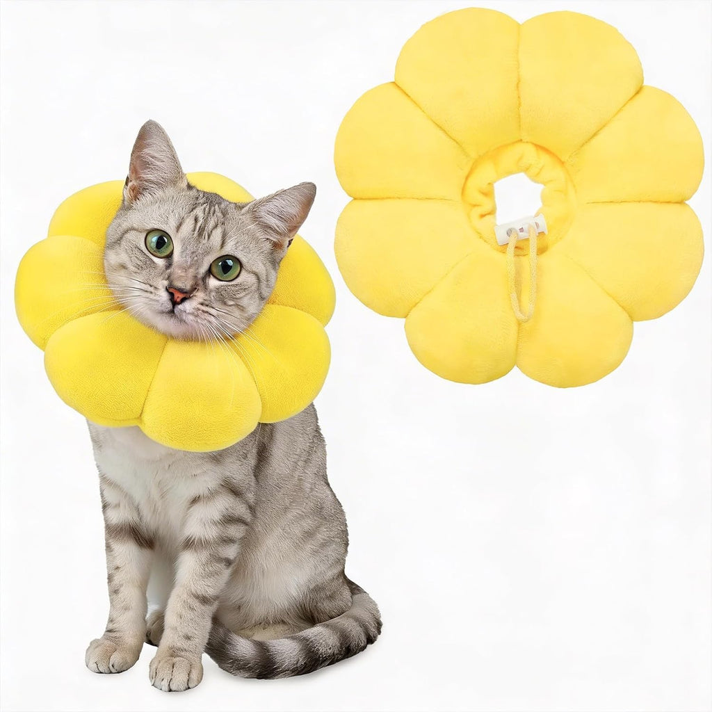 Adjustable pull on style protective e collar for small dogs and cats