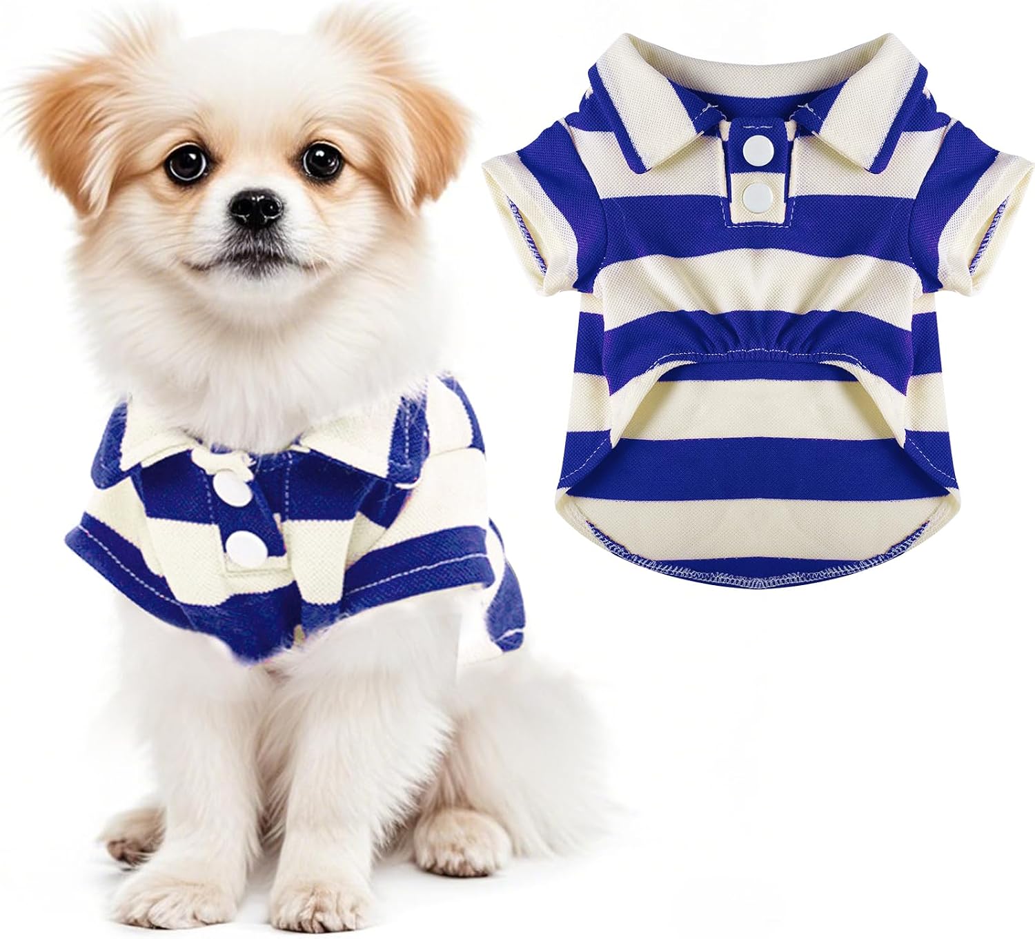 Pistha Royal Blue Dog Polo Shirt front view
