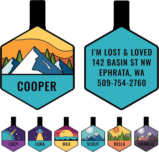 GoTags Silent Dog Tag front view featuring the Mountain Orange hexagon design.