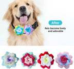 Soft cloth floral pet collar accessories pack of six premium imported charms