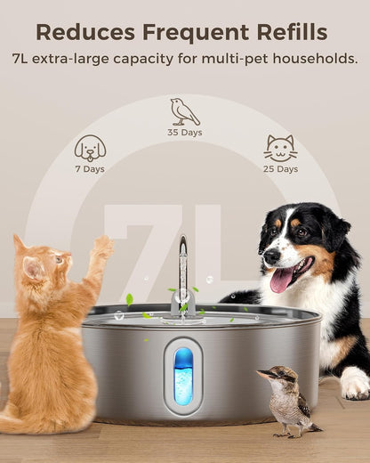 Stainless steel water basin showing the deep bowl design for large breeds.