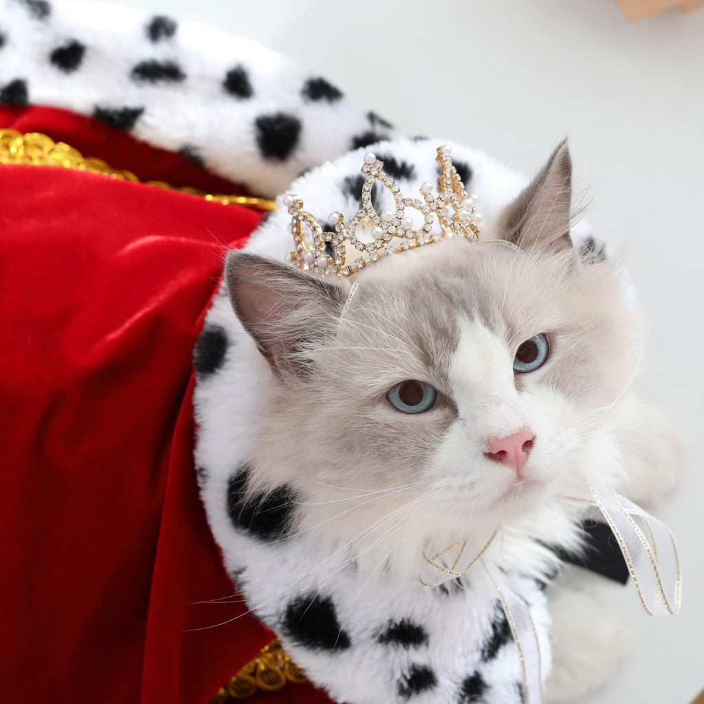 Lovelyshop Pet Series Silver Plated Royal Rhinestone Pearl Full Round Dog/Cat Crown for Rolyal Family Costume Hair Accessories-XSmall Size - Image 15