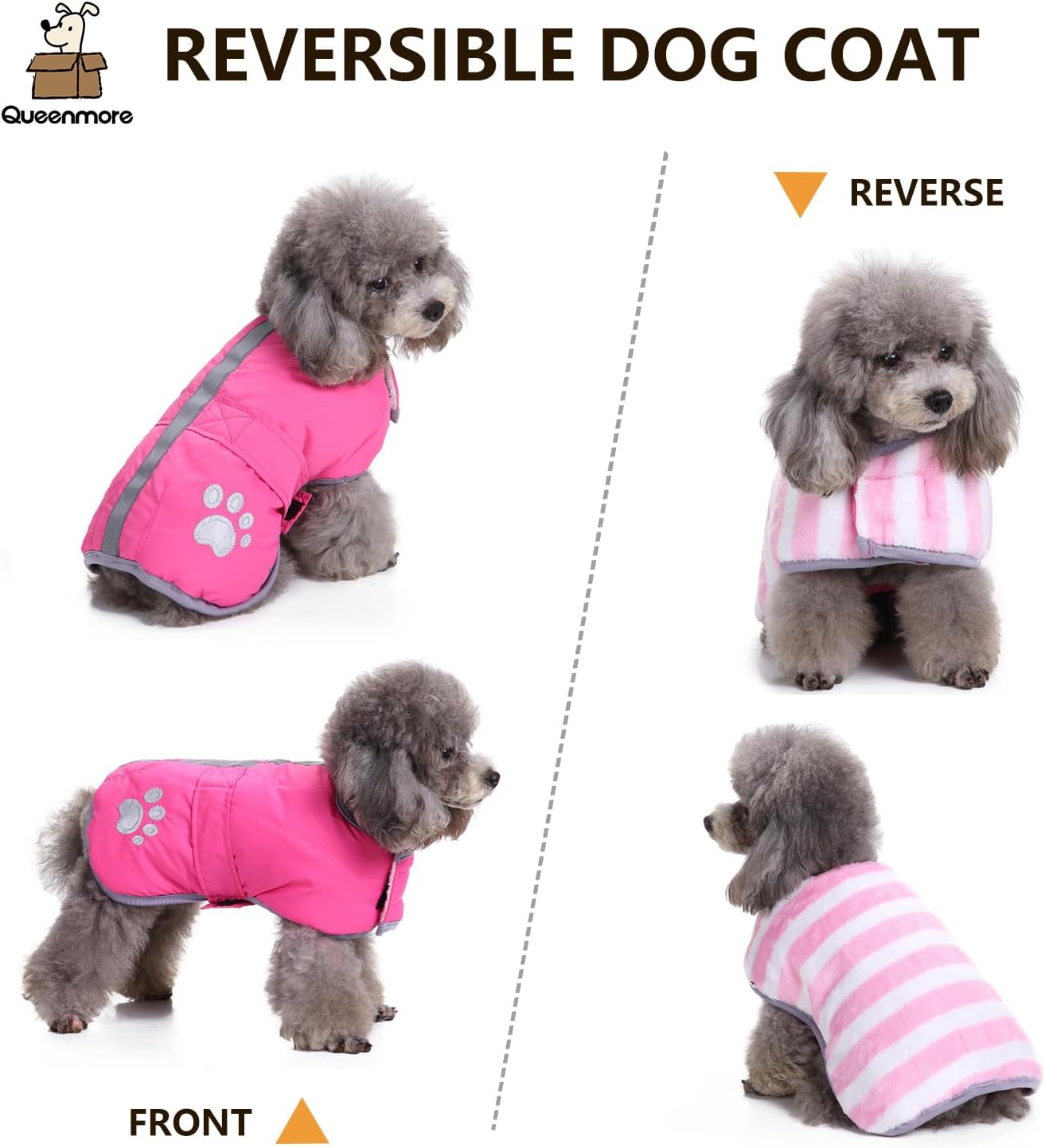 Dog walking at night wearing reflective Queenmore vest
