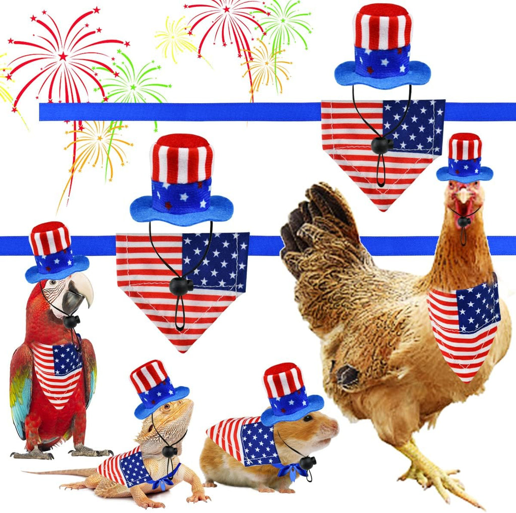 Bearded dragon wearing the patriotic costume set accessories.