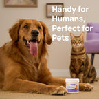 Vet recommended pet dental cleaning wipes