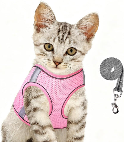 Cat Harness and Leash for Walking, Kitten Escape Proof Harnesses, Adjustable Reflective Puppy Harness with Leashes Set, Easy Adjustable Soft net Breathable Pet Safety Vest XS (Chest: 6" - 8") Black - Image 9