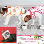 Nuanchu anti licking cat pajama bundle containing three pieces of colorful pet apparel.