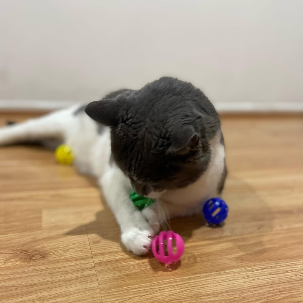 SPOT Slotted Balls Cat Toy - Interactive Cat Toys for Indoor Cats to Chase, Hunt and Stimulate - Jingle Bell Inside for Sound When Batted Around - Safe and Non-Toxic - 1.5" Assorted 4-Pack - Image 6