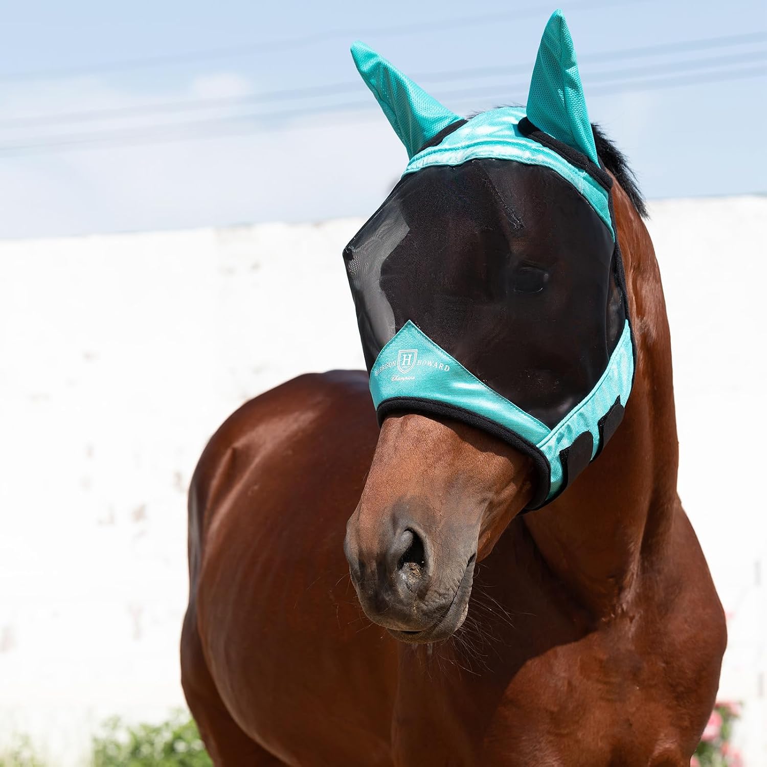 Harrison Howard horse fly mask with ear protection and eye darts