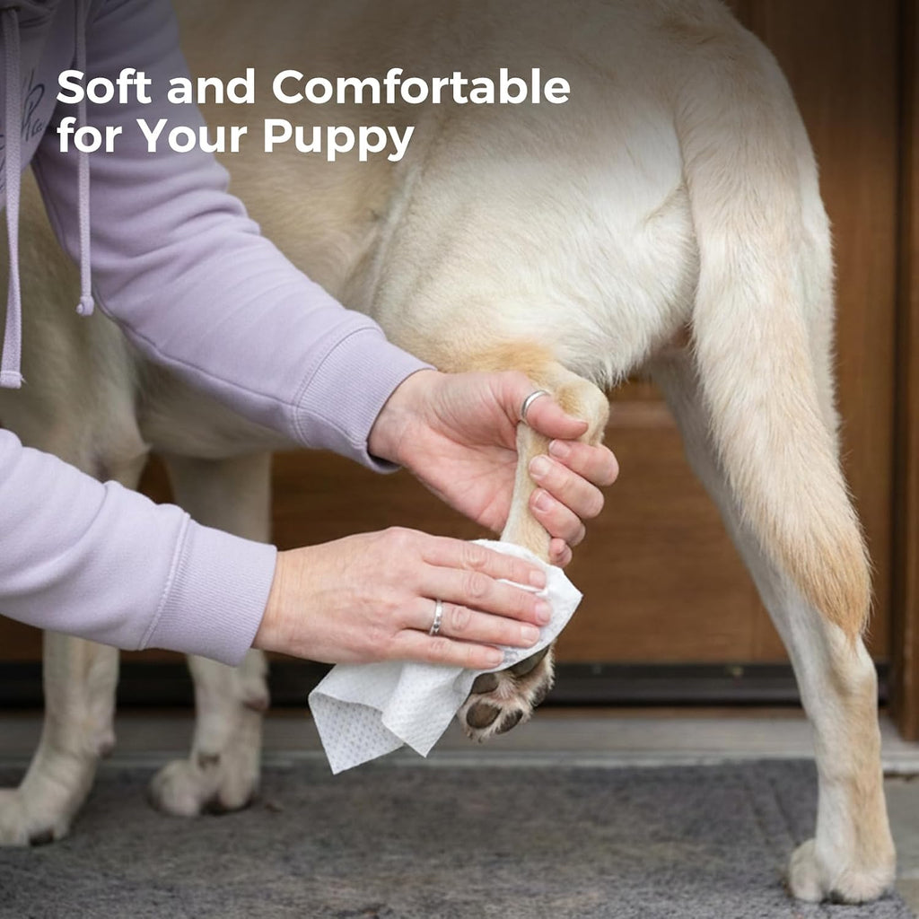 Premium USA imported pet wipes for daily cleaning on Rudra Retails
