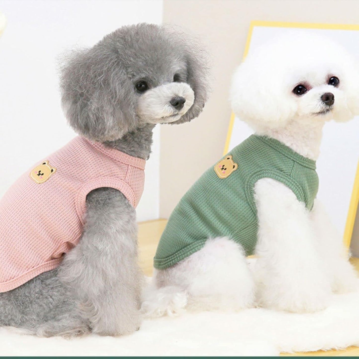 Small dog wearing Biecwiay breathable cotton vest