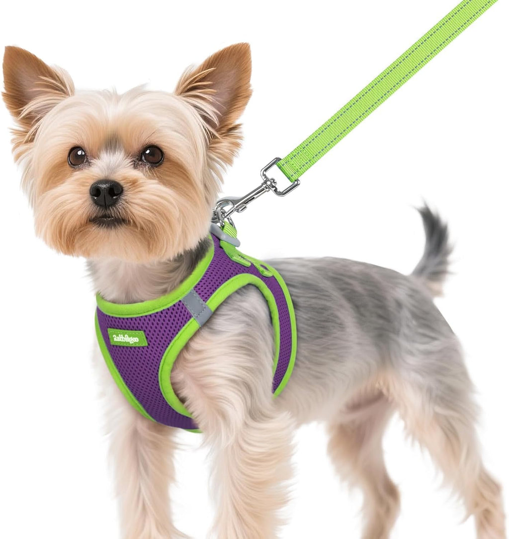 rabbitgoo Dog Harness Small Sized and Leash Set, Step-in Breathable Pet Harness, Soft Walking Reflective Puppy Vest for Small Dogs, Black & Rose Red, S - Image 14