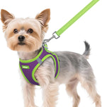 rabbitgoo Dog Harness Small Sized and Leash Set, Step-in Breathable Pet Harness, Soft Walking Reflective Puppy Vest for Small Dogs, Black & Rose Red, S - Image 14