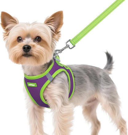 rabbitgoo Dog Harness Small Sized and Leash Set, Step-in Breathable Pet Harness, Soft Walking Reflective Puppy Vest for Small Dogs, Black & Rose Red, S - Image 14